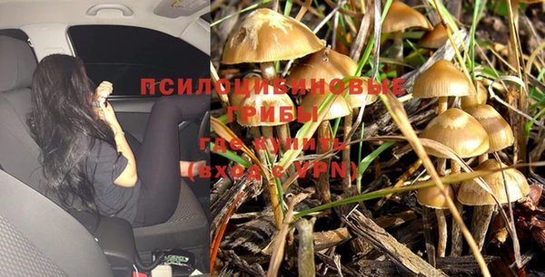 круглые Аркадак